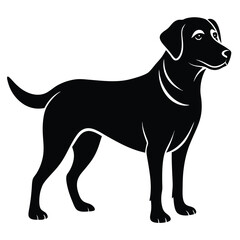 Elegant Black Labrador Retriever Silhouette Depicting Canine Grace and Breed Specific Traits in a Striking Monochrome Design Presentation