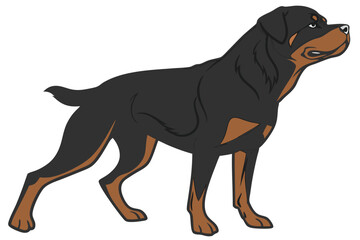 Magnificent Rottweiler Illustration Expressing Power and Loyalty A Beautiful Depiction of a Beloved Breed in Artistic Form