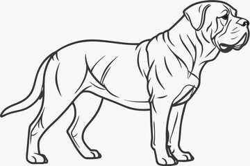 Detailed Line Art Depiction of a Majestic Cane Corso Dog Breed Standing in Profile on a White Background
