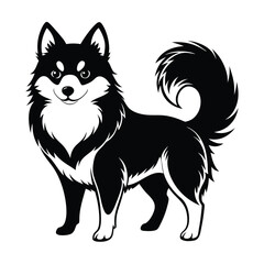 Fototapeta premium Charming Black and White Husky Illustration Graceful Canine Design with Distinctive Markings and a Fluffy Tail Standing Alertly on a White Background