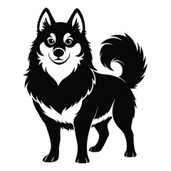 Fototapeta premium Elegant Black and White Illustration of a Smiling Pomsky Dog with Fluffy Tail and Upright Ears Pet Portrait