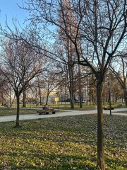  Early Spring City Park with People and Bare Trees
