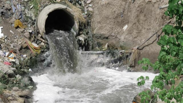 Contamination Crisis - The Poisonous Plight of Polluted Waters
