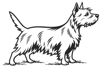 Obraz premium Monochrome Illustration of a West Highland White Terrier Standing Profile Showing its Characteristic Coat and Alert Stance