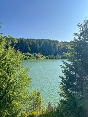 Hidden Lake View Through Trees in Summer Forest