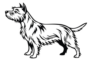 Majestic West Highland White Terrier Portrait Exuding Elegance and Charm Depicted in Striking Black and White Line Art