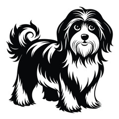 Elegant Black and White Illustration of a Small Fluffy Dog with a Curly Tail, Representing a Cute and Playful Companion