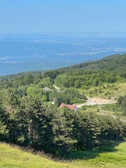 Panoramic View of Mountains and Forest Valley
