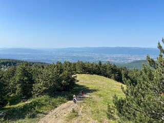 Two Women Walking Downhill on a Summer Mountain Trail