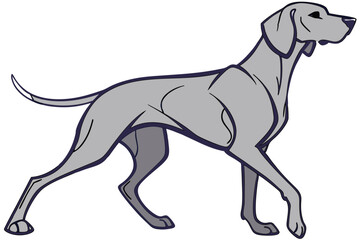 Elegant Weimaraner Breed Canine Art Illustration in Striking Gray Tones a Captivating Animal Representation of Grace and Charm