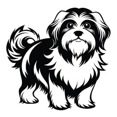 A Whimsical Black and White Shih Tzu Illustration Capturing Canine Charm and Playful Elegance in a Simple Yet Striking Design