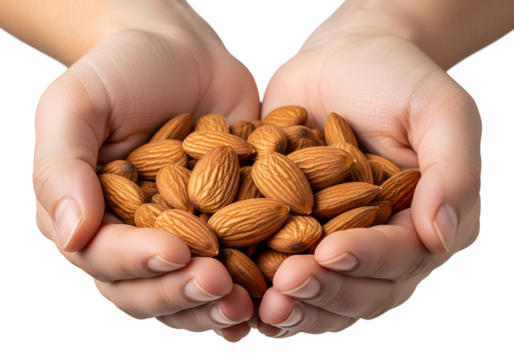 Hands holding handful of fresh almonds, natural and organic snack, isolated on transparent background, healthy eating, raw nuts, nutrition