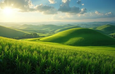 Fototapeta premium Rolling green hills covered vibrant crops under blue sky with fluffy clouds. Summer morning sun lights scenic rural landscape. Agriculture farmland crop view, nature, horizon.