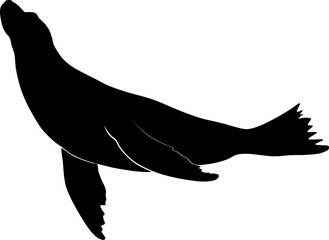 Sea lion
