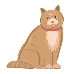 Realistic ginger cat on a white background - Vector illustration