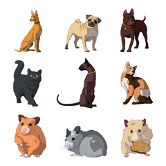 Fototapeta premium Breed of realistic pets cats, dogs and hamsters - Vector illustration