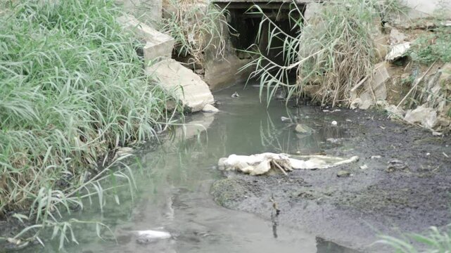 Exposing the Hidden Tragedy of Water Pollution in Our Cities