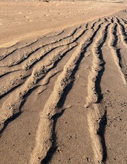 ripples form a unique pattern on sand at low tide