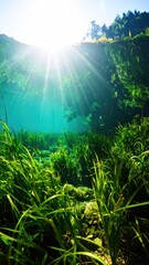 Underwater View Of Green Marsh Grass Swaying In A Greenish Shallow Pool With Bright Sunburst