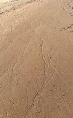 intricate patterns on sand at low tide