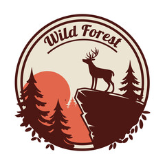 Into the Wild Twilight – Where the Silent Forest Meets the Heart of the Deer Hunter