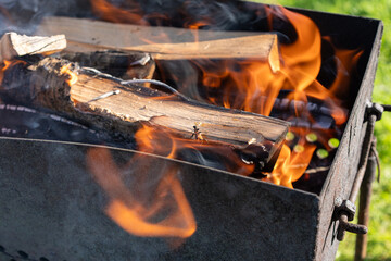 A bark beetle burns atop a smoldering log in vivid orange flames. A visceral symbol of forest infestation, ecological tension, and the omnipresence of wood-boring insects, even in firewood.