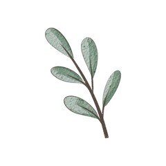 Cartoon twig. Colorful illustration, flat style. design for cards, print, poster