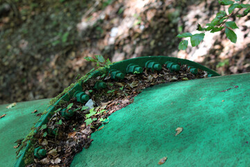 A massive green pipeline, secured with rows of bolts, is partially covered by fallen leaves, moss,...