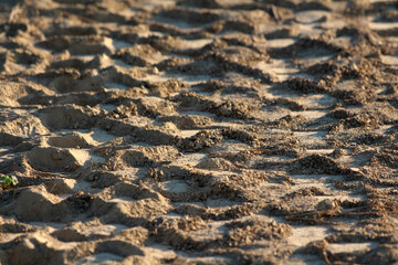 A close-up of sandy ground reveals a repeating pattern of deep tire and foot imprints, highlighting...