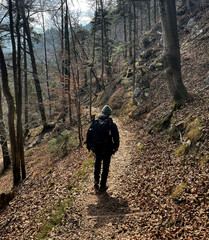 Wanderer auf einem Weg durch den Bergwald im Frühjahr im Inntal, Bayern, Deutschland