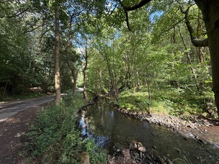 Along a wooded lane where silence flows, Harden Beck flows beneath the summer air, Its whisper laced with light the forest throws. As leaves gently shimmer on, Goit Stock Lane, Harden, UK