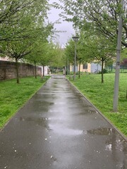 path in the park