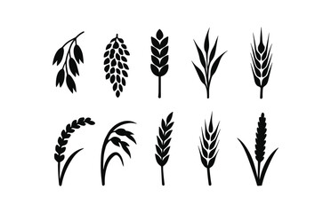 Agriculture, plant silhouette icon set. farming, crop, grain icons silhouette collection