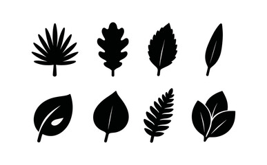 Nature leaf silhouette icon set. foliage, botanical shapes in silhouette collection