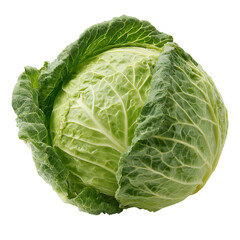 Fototapeta premium A close-up studio shot of a fresh, vibrant green cabbage head, a staple in many diets