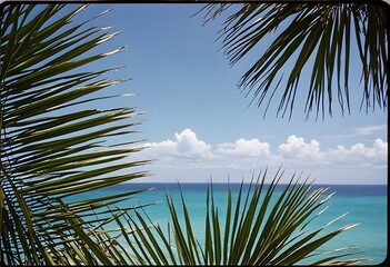 Palm Leaves Framing Ocean Horizon — Tropical Summer View