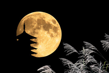 満月 full moon  © kudoh