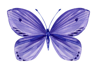Purple butterfly watercolor illustration insect with violet wings delicate nature art for nursery decor wedding invitations