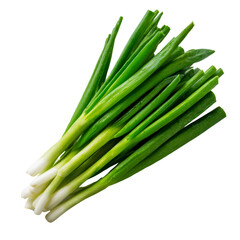 Obraz premium Fresh and vibrant bunch of green onions, perfect for culinary use. This image showcases the fresh green stems and white bulbs