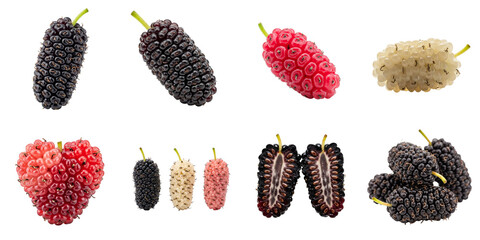 Various types of mulberries on white background, set  