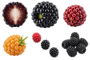 Fresh assortment of blackberries isolated on white, set   