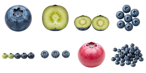 Assorted blueberries and cross sections on white background, set  