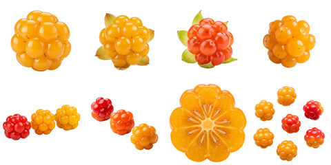 Assorted orange and red cloudberries with green leaves isolated on white, set  