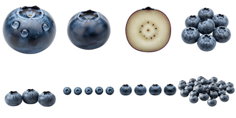 Fresh blueberries isolated on white background in various sizes, set