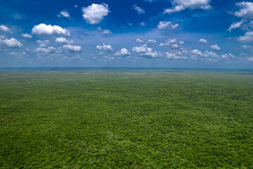 Aerial Drone View of the Jungle in the Yucatán Plateau, Mexico