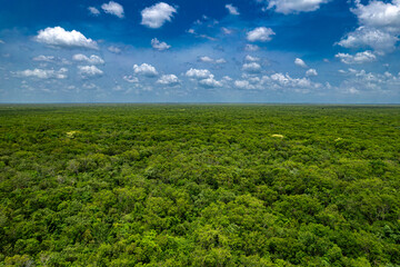 Aerial Drone View of the Jungle in the Yucatán Plateau, Mexico