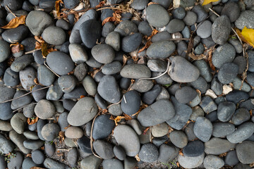 Close-up of smooth, rounded river stones in shades of gray, interspersed with dry leaves and twigs....