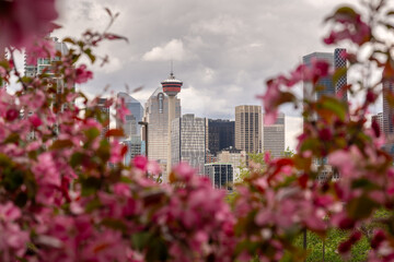 Calgary tower in downtown during a stormy spring day