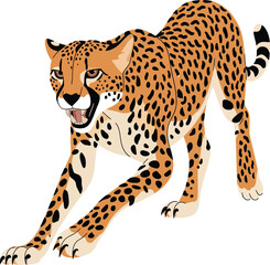 Cute cartoon a illustrator vector cheetah
