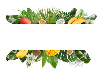 Fresh tropical fruits, flowers and green leaves on white background. Space for text